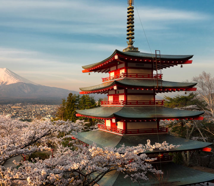An old pagoda and a sea of cherry blossoms photographed by Elia Locardi on Mt. Fuji in Japan.