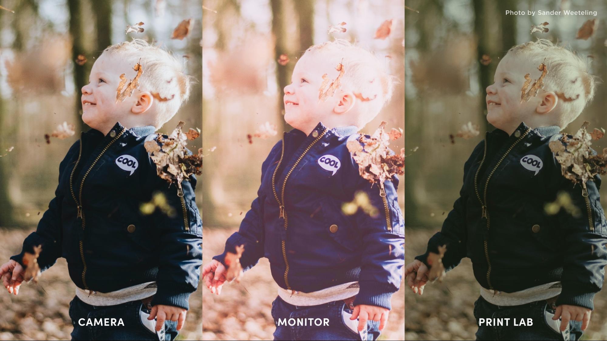 A triptych showing the differences in how an image appears between camera, monitor, and print.